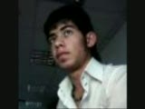 Fedai