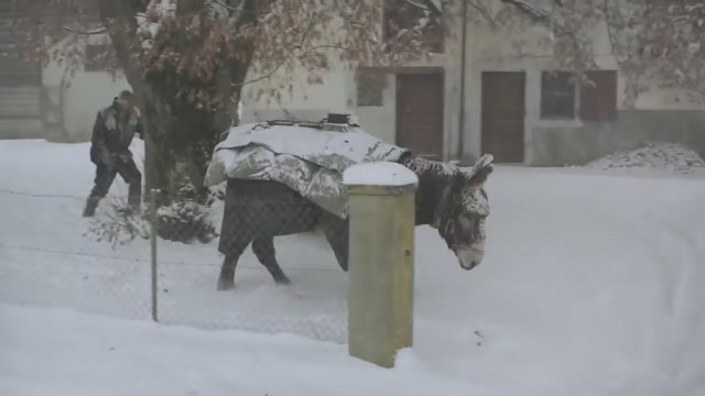 Hiver Nomade (2012) Fragman