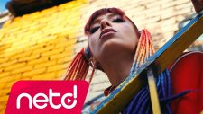 Zanna - Pinokyo