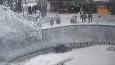 Çocuğunu Ayının Önüne Atan Kadın