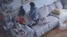 Kedinin Şamarını Yiyen Ufaklık
