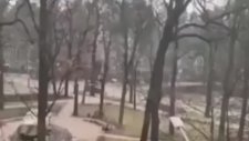 Heykeli Gerçek Sanıp Ateş Eden Ruslar