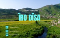 Îro Dîsa - Zozane Feraşine