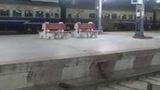 Tren İstasyonunda Raylarda Yürüyen Fil