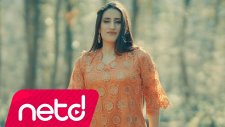Zilan Şervan - Kurko Nerîne
