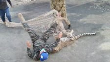 Kendisini Yakalamak İsteyen Askeri Isıran Leopar