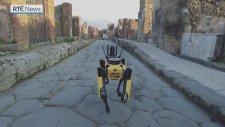 Antik Kent Pompeii Robot Köpek Spot'a Emanet