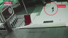 Doğum Sancısı Çeken Kedi Aile Sağlığı Merkezine Geldi