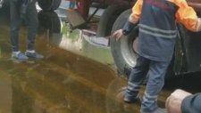 Kaza Sonrası Bedava Bal Fırsatını Kaçırmayan İnsanlar