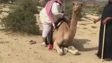 Deveye Zulüm Olan Şişman Adam