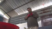Bu İş İçin Özel Ekip Kurdular Kişi Başı Aylık 30 Bin TL Kazanıyorlar