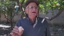 Yumurtayı Göktaşı Sandı Ortalığı Ayağa Kaldırdı