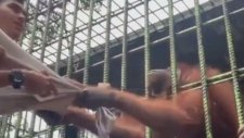 Orangutana Yakalanan Adamın Talihsiz Anları