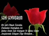 Sipahi Gülcan