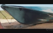 The Reef: Stalked (2022) Fragman