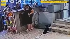 Engelli Köpeğini Veterinere Terk Eden Kadın