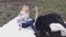 Deve Kuşunu Evcilleştiren Kadın