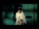 zeki erdem - son gece (yeni)