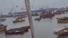 Şili'de Yakalanan Devasa ve Tuhaf Görünümlü Balık