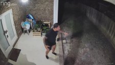 Köpeğine Saldıran Ayıyı Bağırarak Uzaklaştıran Adam