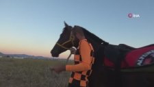 At Yarışında Jokey Attan Düştü Sazlıklar Arasında Kaybolan At Saatler Sonra Bulundu