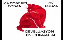 DEVELÜASYON ENSTRÜMANTAL