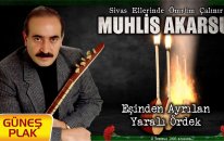 Muhlis Akarsu - Eşinden Ayrılan Yaralı Ördek I Sivas Ellerinde Ömrüm Çalınır 1993 © Güneş Plak