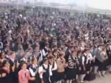 Ceylanpınar