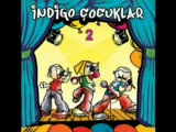 İndigo Cocuklar Haykırmak İstiyorum