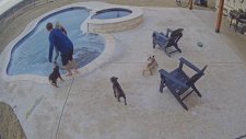 Köpeği Kurtarmak İçin Donmuş Havuza Atlayan Kadın
