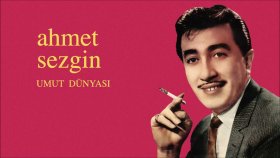 Ahmet Sezgin - Can Bırakmadın