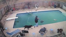 Havuza Düşen Görme Engelli Köpeğini Kurtaran Adam