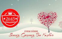 Evrim Dökme - Sensiz Geçmez Bu Kışlar