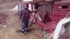 Ahıra Giren Ayı, Tekeyi Götürdü