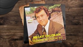 Necati Çalışkan - Çalışkan Oyun Havası (Official Audio)