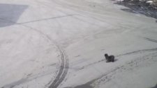Engelli Köpeğini Bırakıp Kaçan Kadın