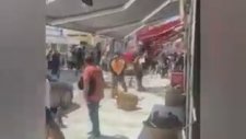 Arabadan Korkan Deve Ortalığı Birbirine Kattı