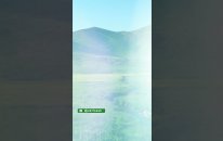 Ferasin Yaylası #story