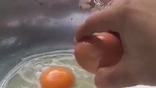 Yumurtanın İçinden Yumurta Çıktı