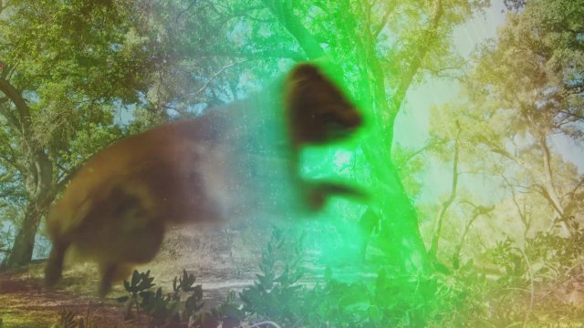 The Furry Fortune (2023) Fragman