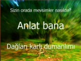 anlat bana