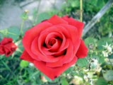 Recebim-Sensiz Olmuyor Dostum (Www.holofm.com)