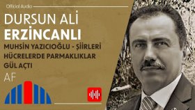 Dursun Ali Erzincanlı - Af (Official Audio)