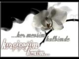Gökçe Kırgiz - Bebegimcom