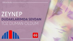 Zeynep - Toz Duman Oldum