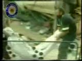 17 agustos 1999 03.02 depremi anısına