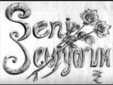 Asil Den Tüm Şiir Sevenlere