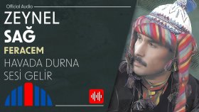 Zeynel Sağ - Havada Durna Sesi Gelir (Official Audio)
