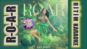 Roar - Katy Perry - Rhythm Karaoke Original Traffic (4 Mr World Music)