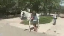 ata binmek için yardım edermisiniz